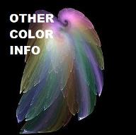Other Color Information